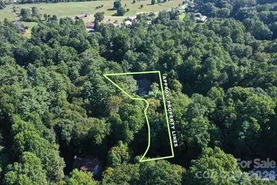300 Caroline Lane, Pisgah Forest, NC 28768 - Photo 41