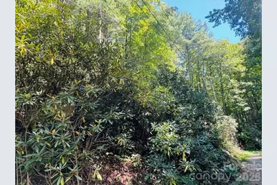 Tbd Jane Lane, Hendersonville, NC 28792 - Photo 23