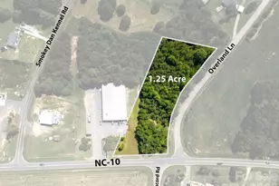 0 N Nc 10 Hwy, Vale, NC 28168 - Photo 1