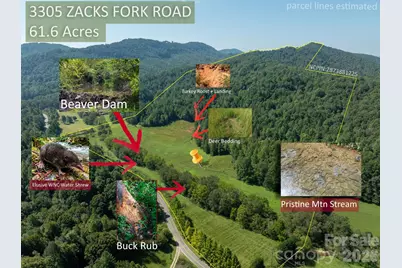 3305 Zacks Fork Road, Lenoir, NC 28645 - Photo 17