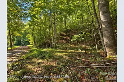 250 Turn-A-Bout Court #57, Maggie Valley, NC 28785 - Photo 5