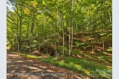 250 Turn-A-Bout Court #57, Maggie Valley, NC 28785 - Photo 21
