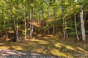 250 Turn About Ct, Maggie Valley, NC 28785 - Photo 1