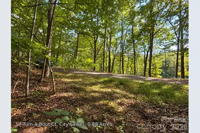 250 Turn-A-Bout Court #57, Maggie Valley, NC 28785 - Photo 13