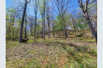 Lot 35 Soothing Waters Drive #35, Todd, NC 28684 - Photo 5