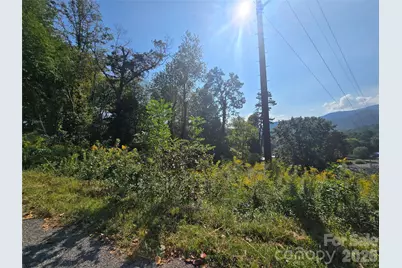 175 River Lane, Canton, NC 28716 - Photo 21