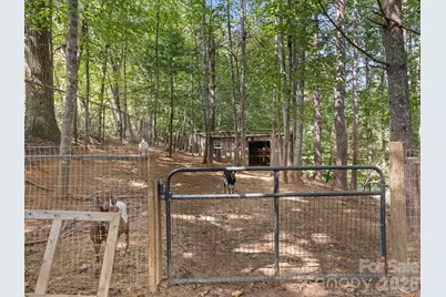 20 Sharpes Cove Road, Leicester, NC 28748 - Photo 27