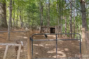20 Sharpes Cove Rd, Leicester, NC 28748 - Photo 27