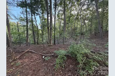 V/L Vein Mountain Road, Nebo, NC 28761 - Photo 23
