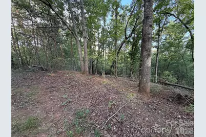 V/L Vein Mountain Road, Nebo, NC 28761 - Photo 21