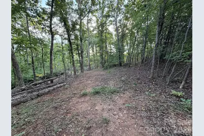 V/L Vein Mountain Road, Nebo, NC 28761 - Photo 19