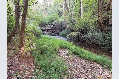 V/L Vein Mountain Road, Nebo, NC 28761 - Photo 5