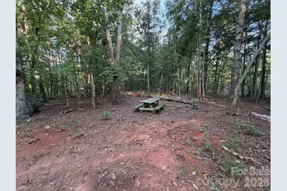 V/L Vein Mountain Road, Nebo, NC 28761 - Photo 25