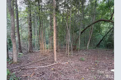 V/L Vein Mountain Road, Nebo, NC 28761 - Photo 11
