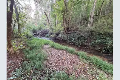 V/L Vein Mountain Road, Nebo, NC 28761 - Photo 3