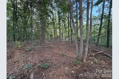 V/L Vein Mountain Road, Nebo, NC 28761 - Photo 27