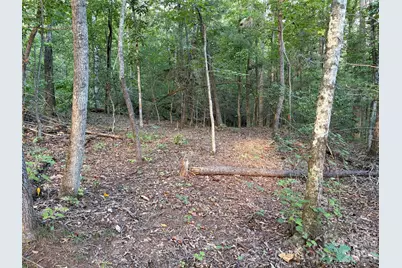 V/L Vein Mountain Road, Nebo, NC 28761 - Photo 15