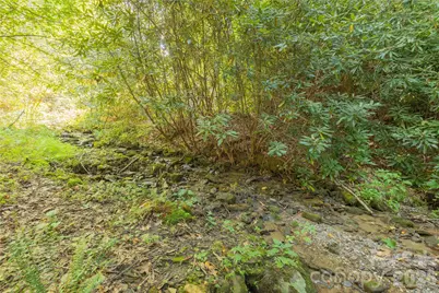 1221 Sam Cove, Robbinsville, NC 28771 - Photo 39
