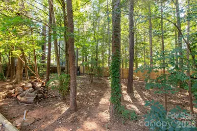 4260 Wiregrass Road, Indian Land, SC 29707 - Photo 39