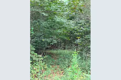 5518 Miller Bridge Road, Connelly Springs, NC 28612 - Photo 7