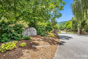 121 Firefly Cove, Lake Lure, NC 28746 - Photo 45
