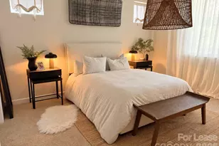 16233 Kelby Cv, Charlotte, NC 28278 - Photo 19