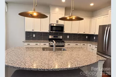 16233 Kelby Cove, Charlotte, NC 28278 - Photo 9