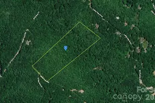 200 Miller Cove Rd, Black Mountain, NC 28711 - Photo 1