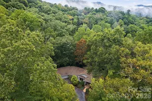 9 Laurel Forest Dr, Horse Shoe, NC 28742 - Photo 9