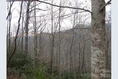 00 Henry Road, Sylva, NC 28779 - Photo 13