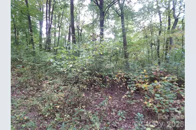 00 Henry Road, Sylva, NC 28779 - Photo 19