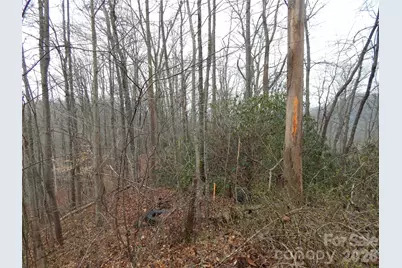 00 Henry Road, Sylva, NC 28779 - Photo 15
