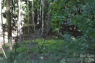 1410 N Double Knob Loop, Arden, NC 28704 - Photo 1