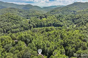 885 Rustic Heights Rd, Waynesville, NC 28785 - Photo 35