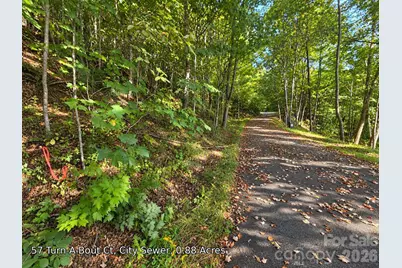 250 & 300 Turn-A-Bout Court, Waynesville, NC 28785 - Photo 13