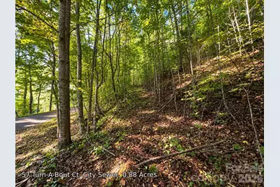 250 & 300 Turn-A-Bout Court, Waynesville, NC 28785 - Photo 15