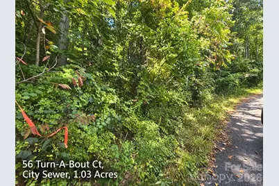 250 & 300 Turn-A-Bout Court, Waynesville, NC 28785 - Photo 5