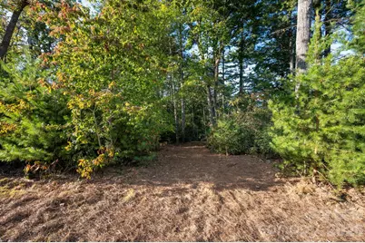 30 Hawberry Court, Asheville, NC 28805 - Photo 7