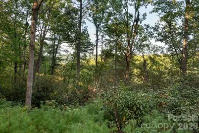 30 Hawberry Court, Asheville, NC 28805 - Photo 11