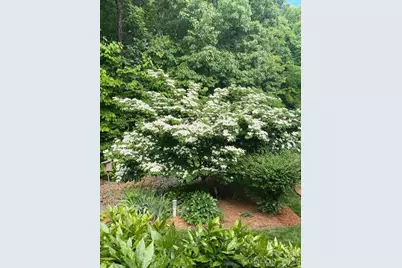 10417 Newberry Park Lane, Charlotte, NC 28277 - Photo 47