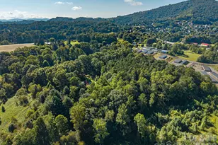 189 Odonald Rd, Asheville, NC 28806 - Photo 1