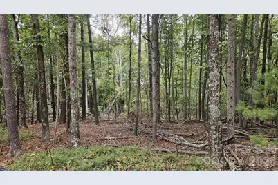 99999 Sunnyview Terrace #A, Asheville, NC 28806 - Photo 11
