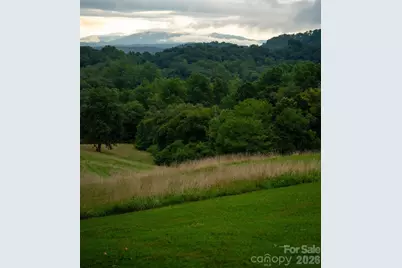 185 McKinney Road, Etowah, NC 28729 - Photo 29