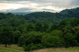 185 McKinney Rd, Etowah, NC 28729 - Photo 29