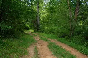 185 McKinney Rd, Etowah, NC 28729 - Photo 23