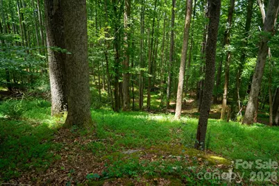 185 McKinney Road, Etowah, NC 28729 - Photo 21