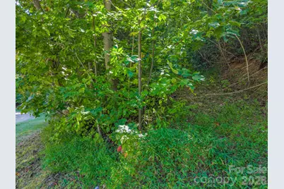 504 Barrington Drive, Asheville, NC 28803 - Photo 25