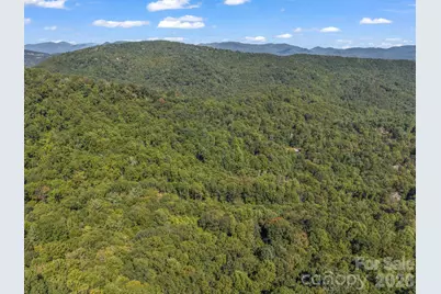 504 Barrington Drive, Asheville, NC 28803 - Photo 11