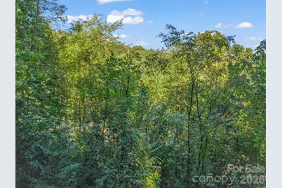 504 Barrington Drive, Asheville, NC 28803 - Photo 29