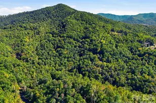 2711 Rabbit Hop Rd, Spruce Pine, NC 28777 - Photo 47